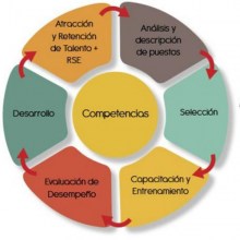 gestión por competencias